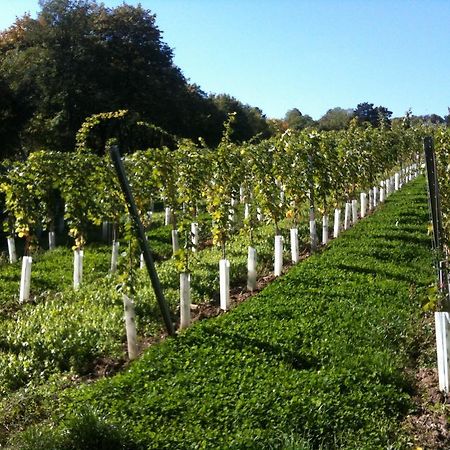 Exquisites Gartenapartment In Eleganter Jugendstilvilla ウィーン エクステリア 写真
