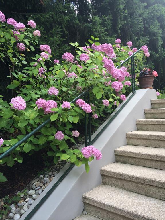 Exquisites Gartenapartment In Eleganter Jugendstilvilla ウィーン エクステリア 写真